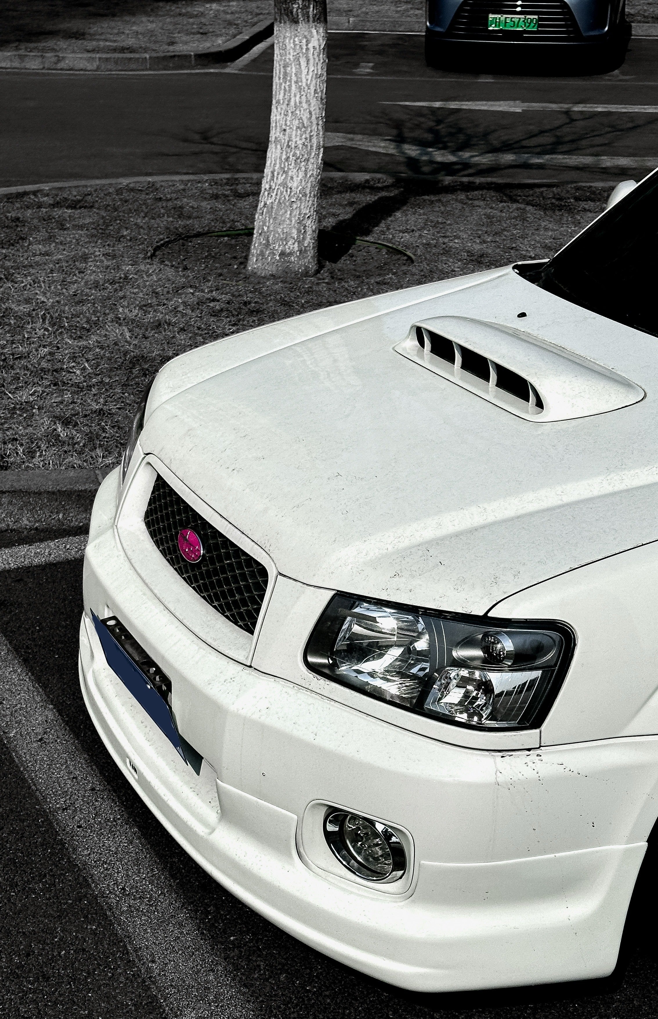 Front Lip